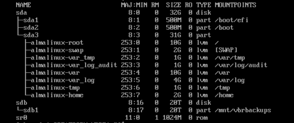 lsblk showing my 20TB partition